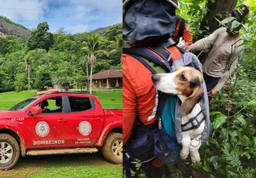 18º BBM de Teixeira de Freitas resgata animal que estava desaparecido no distrito de São Paulinho em Itamaraju